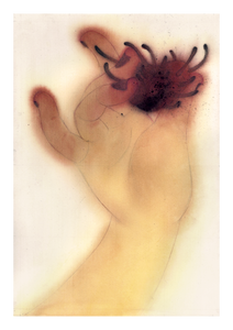 Cake Zine: Volume 7: Forbidden Fruit