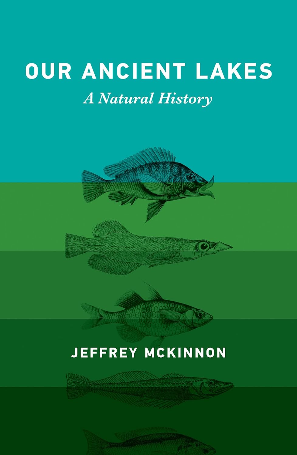 Our Ancient Lakes: A Natural History by Jeffrey Mckinnon