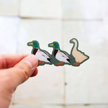 Duck Duck Goose Sticker by Mae Fox Creative