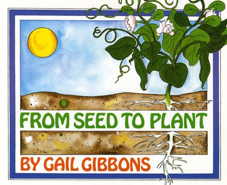 study jams plants with seeds From Seed to Plant by Gail Gibbons – Dotters Books