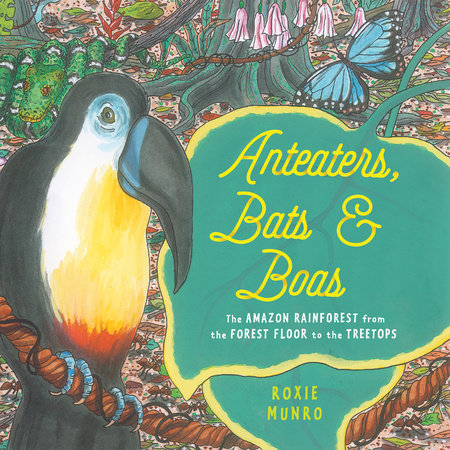 Anteaters, Bats & Boas: The Amazon Rainforest from the Forest Floor to the Treetops by Roxie Munro