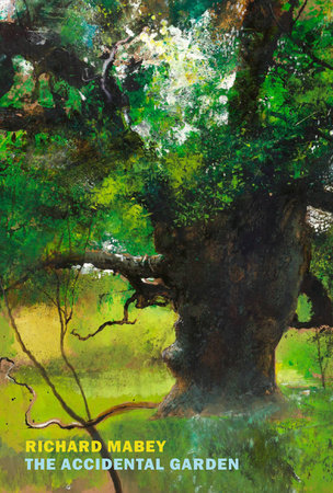 The Accidental Garden Gardens, Wilderness, and the Space In Between by Richard Mabey