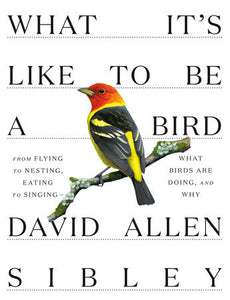What It's Like to Be a Bird: From Flying to Nesting, Eating to Singing--What Birds Are Doing, and Why (Sibley Guides) by  David Allen Sibley