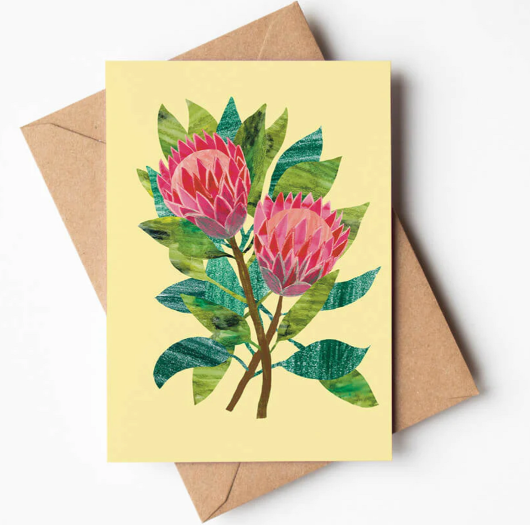 Pink Proteas Flowers Floral Greeting Card from Bert and Roxy