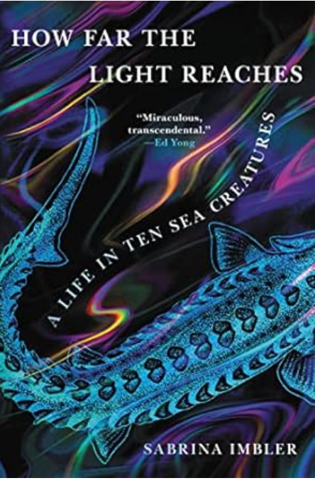 How Far the Light Reaches: A Life in Ten Sea Creatures by Sabrina Imbler