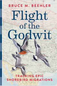 Flight of the Godwit: Tracking Epic Shorebird Migrations by Bruce M. Beehler