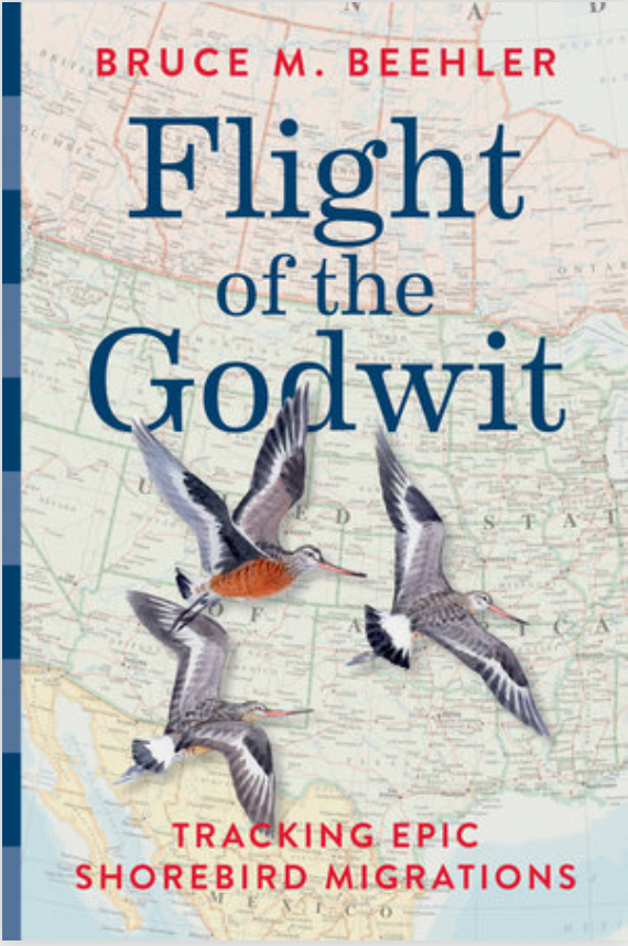 Flight of the Godwit: Tracking Epic Shorebird Migrations by Bruce M. Beehler