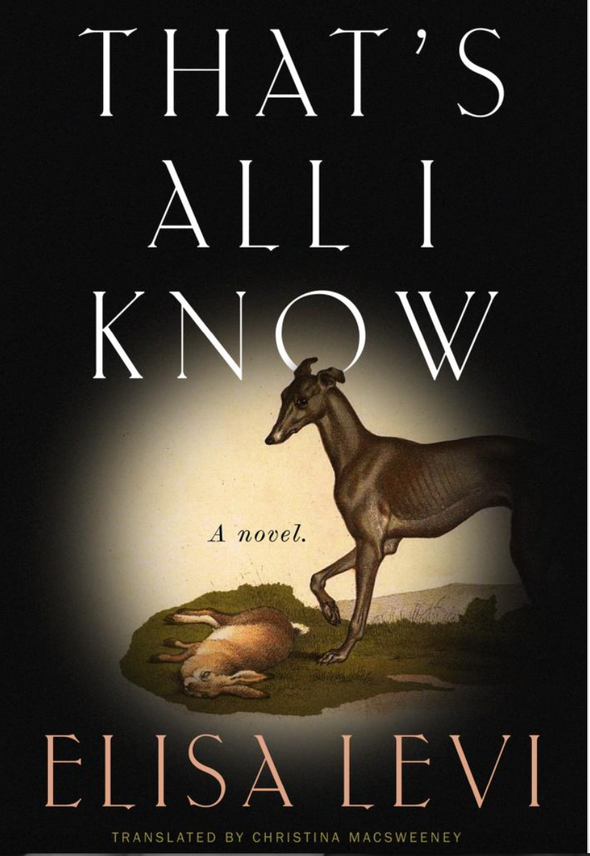 That's All I Know by Elisa Levi
