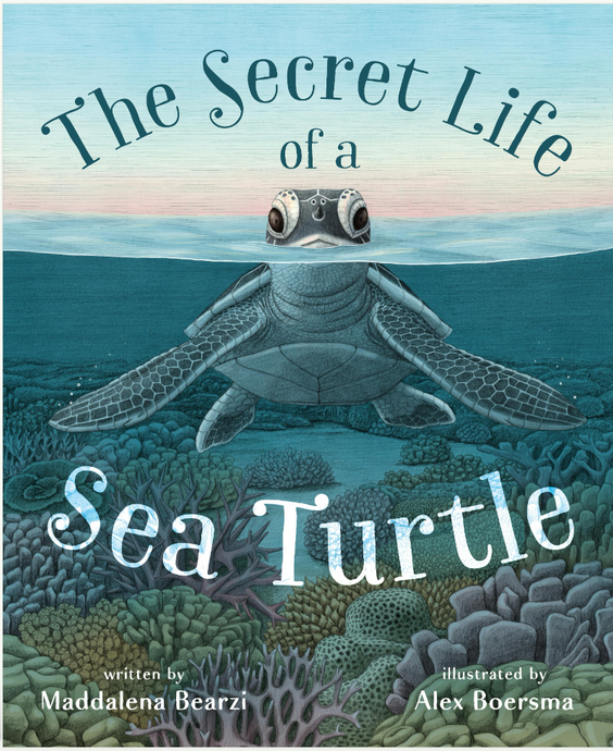 The Secret Life of a Sea Turtle by Maddalena Bearzi
