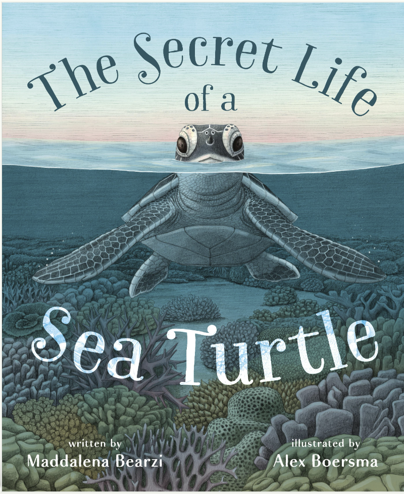 The Secret Life of a Sea Turtle by Maddalena Bearzi