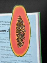 Papaya Bookmark by Clem & Co.
