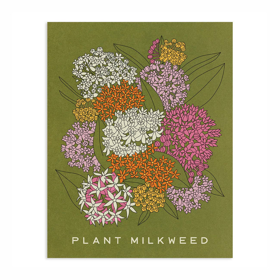 Plant Milkweed 11 x 14 Botanical Art Print by Worthwhile Paper