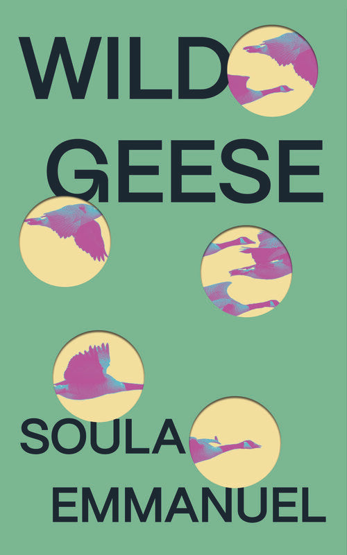 Wild Geese by Soula Emmanuel