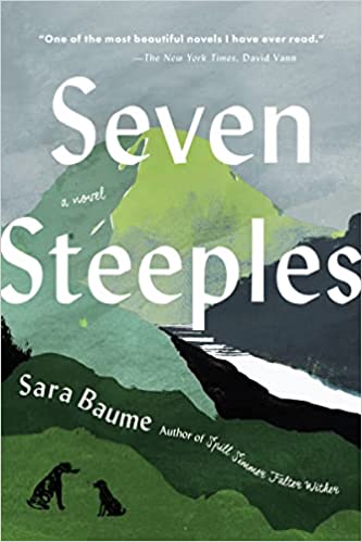 Seven Steeples by Sara Baume