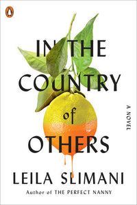 In the Country of Others by Leila Slimani