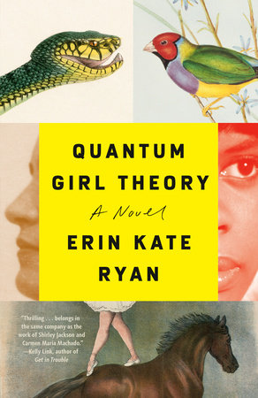 Quantum Girl Theory by Erin Kate Ryan