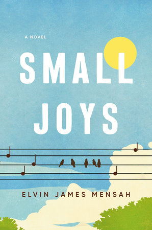 Small Joys by Elvin James Mensah